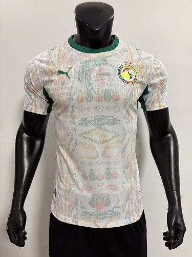 2026 Player Version Senegal Soccer Jersey Home