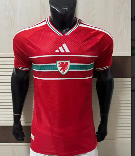 2026 Player World Cup Wales Soccer Jersey Home