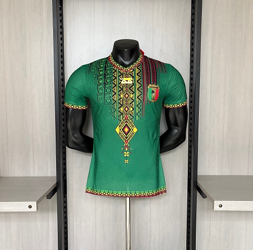 2026 Player Version Mali Soccer Jersey Home
