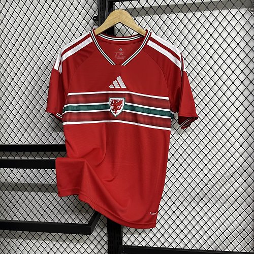2026 World Cup Wales Soccer Jersey Home