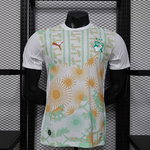 2026 Player Ivory Coast Soccer Jersey Away