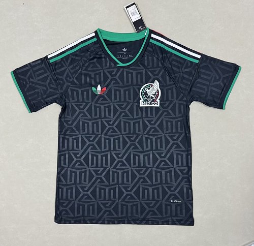 2026 Player Mexico Soccer Jersey second away