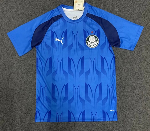 24/25 Palmeiras training uniform blue S-XXL
