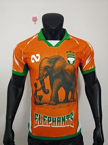 25/26 Player Edition: Ivory Coast Special Edition, Orange, S-XXL