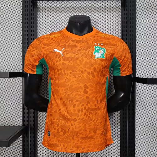 2026 Player Ivory Coast Soccer Jersey Home S-2XL